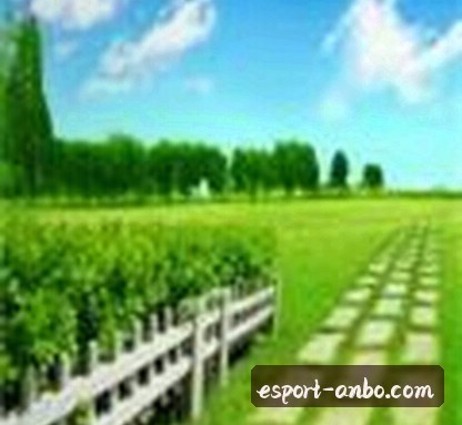 电竞俱乐部运营 小陈